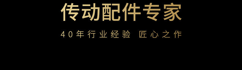 40年齒條傳動(dòng)配件專家品質(zhì)保障